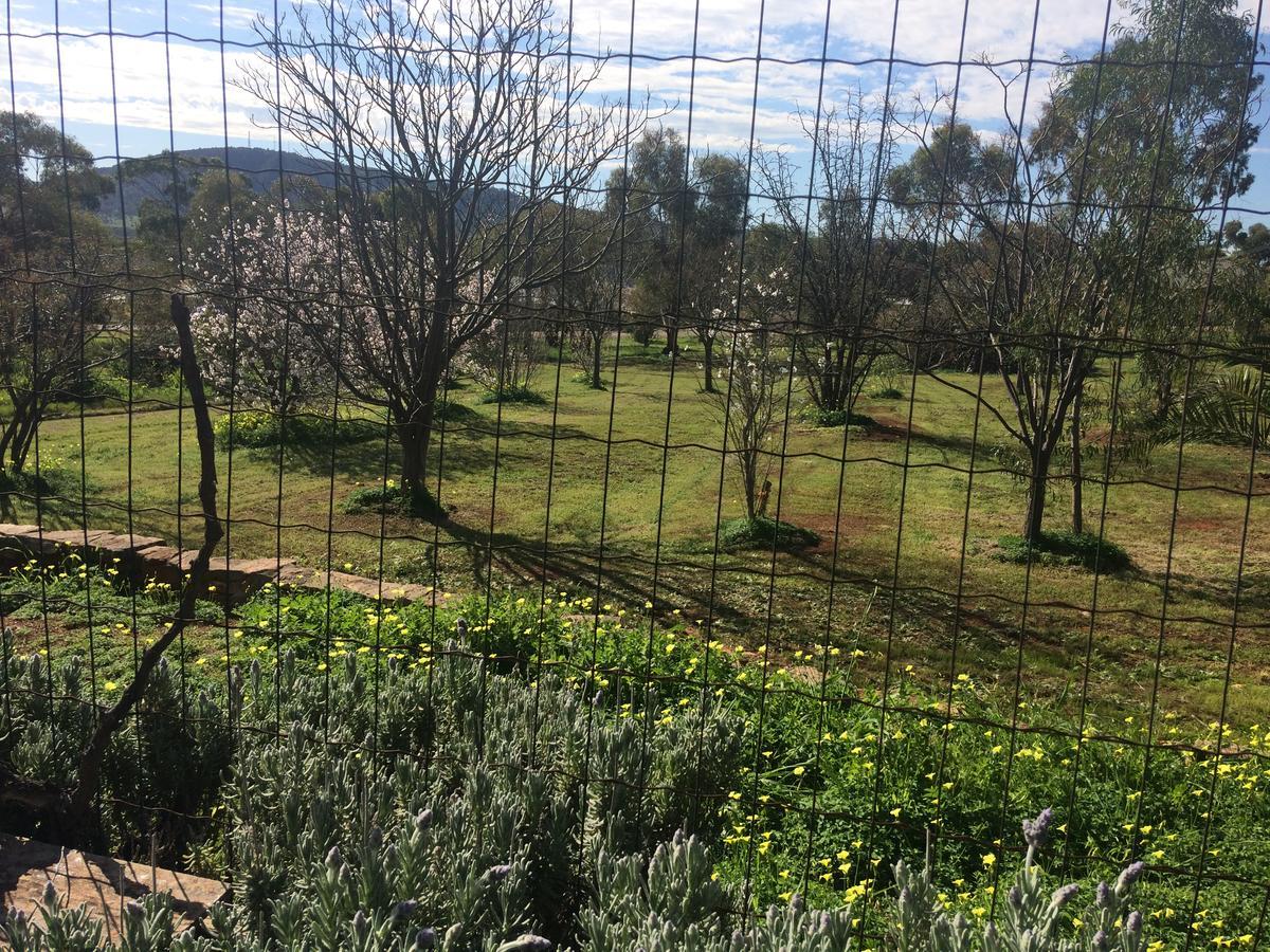 York'S Lookout Lodge Bed And Breakfast エクステリア 写真
